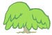 Weeping Tree